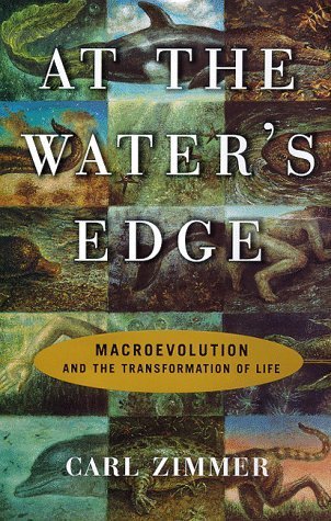 At the Water's Edge: Macroevolution and the Transformation of Life